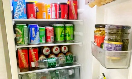 The Misconception of Storing Coconuts in the Refrigerator:Does It Really Speed Up Spoilage?
