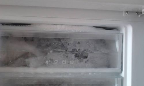 The Misconception of Storing Coconuts in the Refrigerator:Does It Really Speed Up Spoilage?