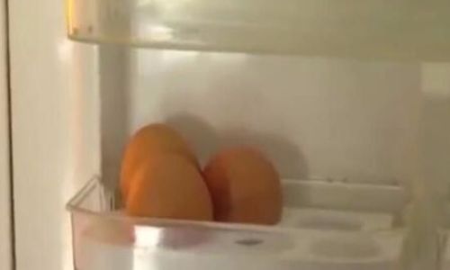 The Misconception of Storing Coconuts in the Refrigerator:Does It Really Speed Up Spoilage?