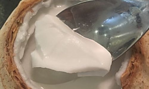 How to Make Delicious Coconut Jelly:A Step-by-Step Guide