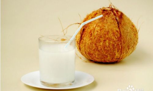 Exploring the Versatile World of Coconut Eating:A Culinary Odyssey
