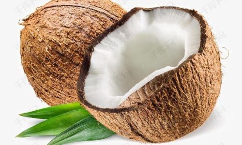 Exploring the Versatile World of Coconut Eating:A Culinary Odyssey