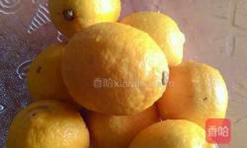 How to Craft Homemade Sichuan Pear,Kumquat,and Lemon Paste:A Step-by-Step Guide