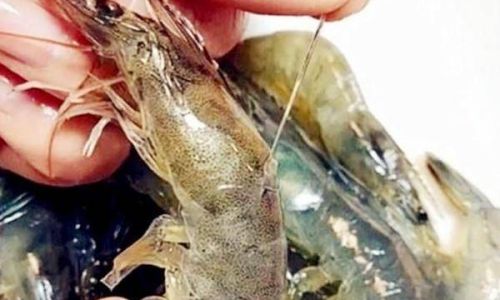 Mastering the Art of Deveining Shrimp:A Comprehensive Guide to Techniques and Tips