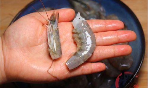 Mastering the Art of Deveining Shrimp:A Comprehensive Guide to Techniques and Tips