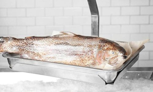 Refrigeration vs.Freezing:The Optimal Storage Methods for Processed Fish