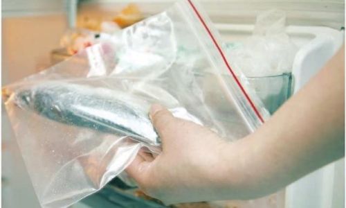 Refrigeration vs.Freezing:The Optimal Storage Methods for Processed Fish