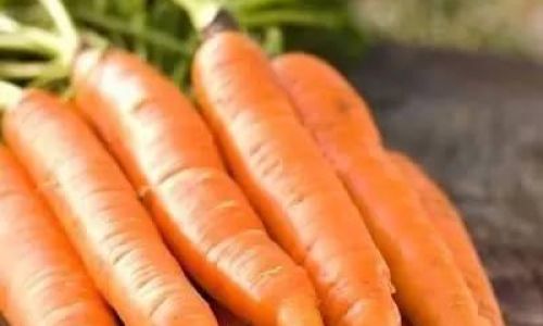 Expert Tips to Keep Carrots Fresh and Sprout-Free:A Comprehensive Guide to Long-Term Storage
