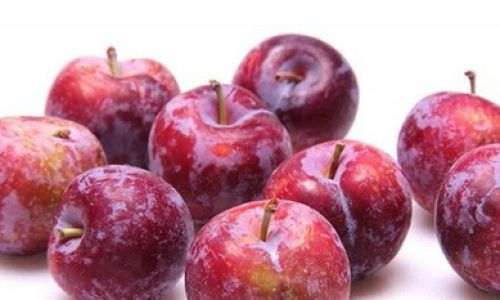 Preserving Plums:Expert Techniques for Extending Freshness and Flavor