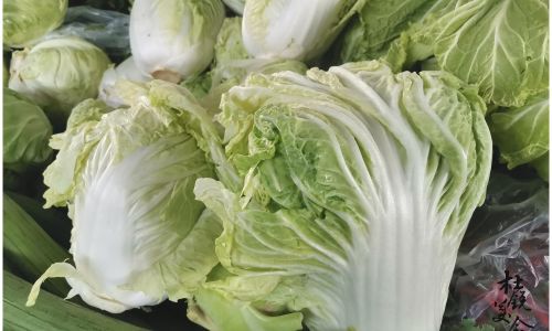 The Ultimate Guide to Storing Napa Cabbage:Techniques for Longevity and Freshness