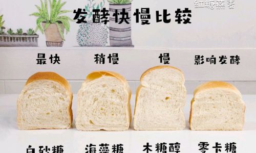 Beyond Bread:15 Innovative and Delicious Ways to Repurpose Stale Bread in Your Kitchen