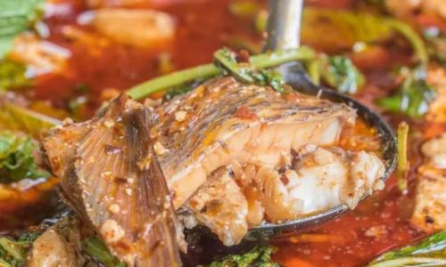 Stinky Tofu and Fish Stew:A Pungent Delight from Chinese Culinary Tradition
