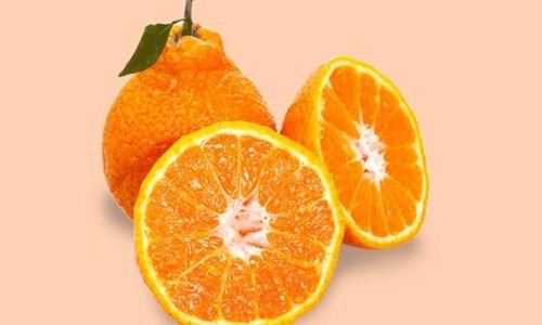 The Enigmatic Origins and Global Journey of the Ugli Fruit:Jamaicas Citrus Delight