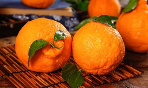 The Distinctive Differences Between Ugly Citrus and Babagan:A Comprehensive Guide