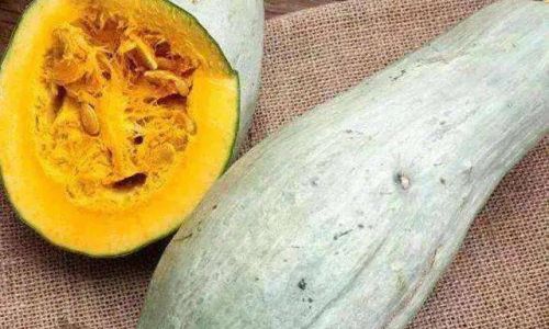 The Art of Cooking with Ugly Melon:From Humble Beginnings to Culinary Delights