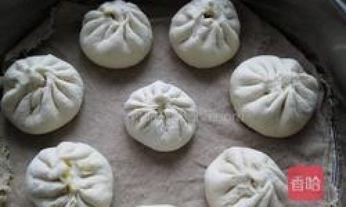 The Art of Cooking with Ugly Melon:From Humble Beginnings to Culinary Delights