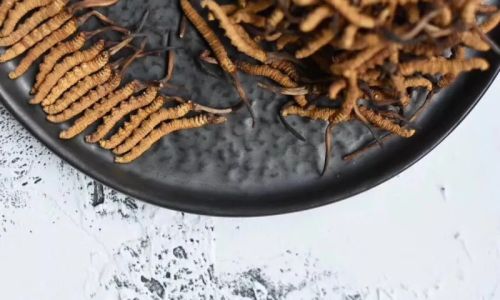 A Comprehensive Guide to Consuming Cordyceps:Methods,Benefits,and Precautions