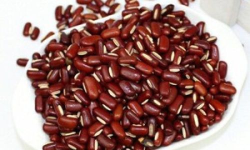 Mastering the Art of Cooking Adzuki Beans:Delicious Recipes and Expert Tips