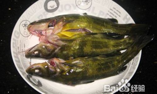 Mastering the Art of Steamed Yellow Catfish with Black Bean Sauce:A Step-by-Step Culinary Journey
