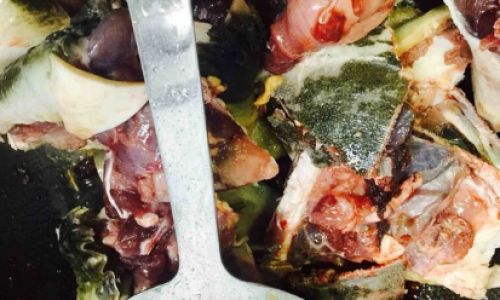 Mastering the Art of Braised Turtle with Black Bean Sauce:A Step-by-Step Guide