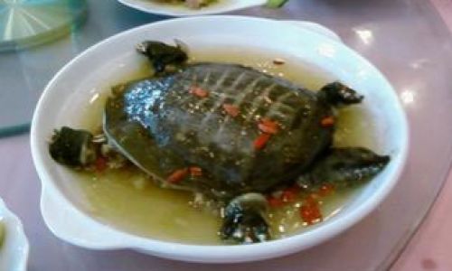 Mastering the Art of Braised Turtle with Black Bean Sauce:A Step-by-Step Guide
