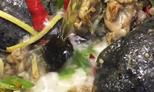 Mastering the Art of Braised Turtle with Black Bean Sauce:A Step-by-Step Guide