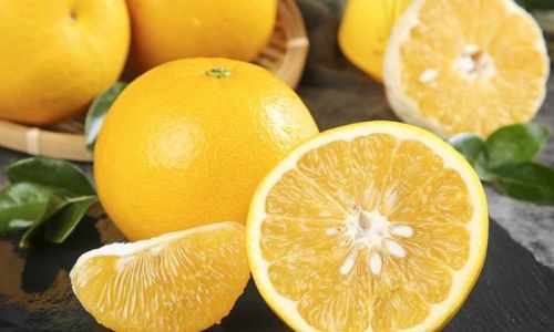 The Optimal Season to Savor Grapefruit:A Guide to Peak Flavor and Health Benefits