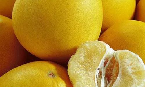 The Optimal Season to Savor Grapefruit:A Guide to Peak Flavor and Health Benefits