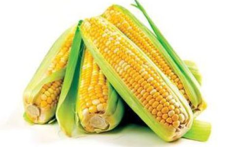 The Surprising Health Benefits of Corn:A Nutritional Powerhouse for Your Body and Beyond