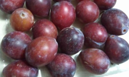 To Peel or Not to Peel:Unraveling the Debate Surrounding Plum Consumption