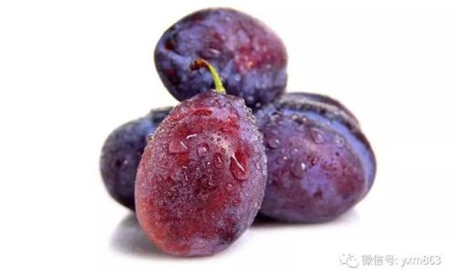 To Peel or Not to Peel:Unraveling the Debate Surrounding Plum Consumption