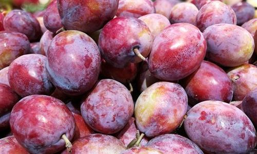 To Peel or Not to Peel:Unraveling the Debate Surrounding Plum Consumption