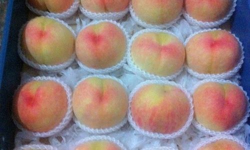 To Peel or Not to Peel:The Great Peach Dilemma A Comprehensive Guide