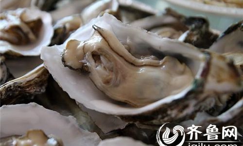 The Oysters Optimal Hour:Unveiling the Best Season to Savor Natures Briny Delight