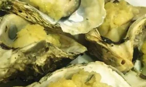 The Oysters Optimal Hour:Unveiling the Best Season to Savor Natures Briny Delight