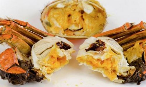 Crafting the Perfect Crab Roe Sauce:A Step-by-Step Guide
