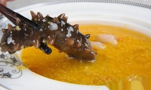 Mastering the Art of Making Millet-Stewed Liaoning Sea Cucumber