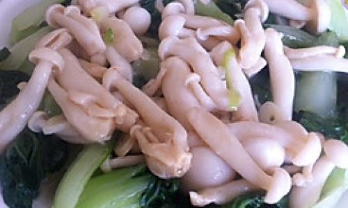 How to Prepare and Cook White Mushrooms:A Comprehensive Guide