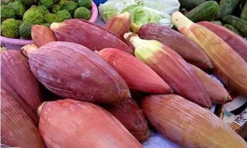 Mastering the Art of Cooking Delicious Banana Blossoms