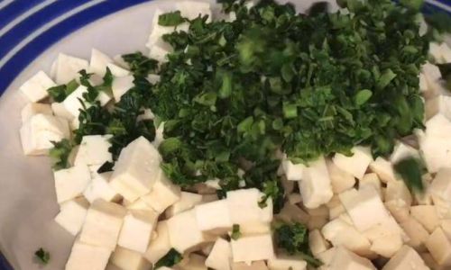 How to Make Tofu with Chinese Toon Chunxun)