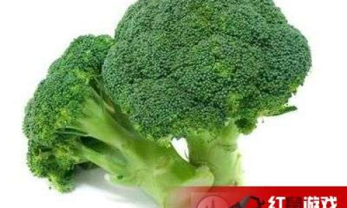 Mastering the Art of Cooking Broccoli:A Comprehensive Guide