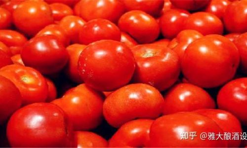 How to Make Tomato Wine:A Step-by-Step Guide
