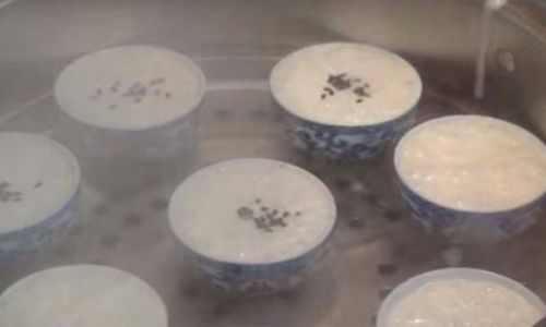 How to Make Steamed Rice Cake in a Bowl