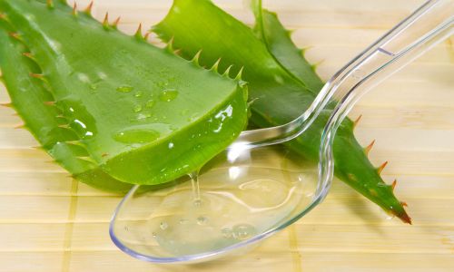 Simple Preservation Techniques for Coconut Milk and Aloe Vera:Keeping Freshness Intact