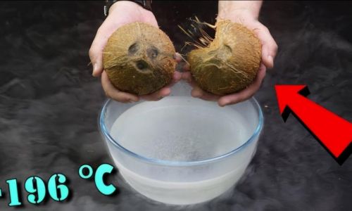 How to Open a Young Coconut Coconut Water)A Comprehensive Guide