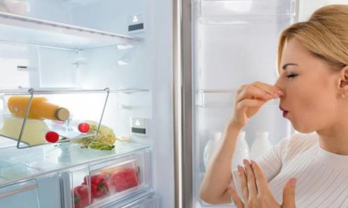Should Fresh Young Coconut Coconut Water)Be Stored in the Refrigerator?