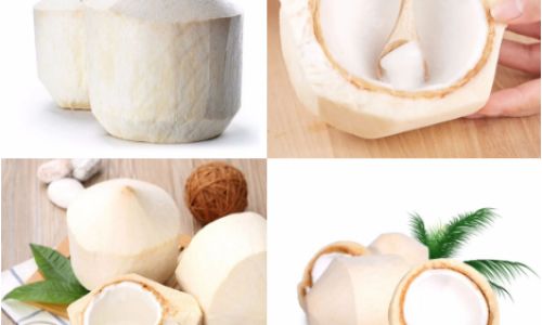 Can You Eat the Flesh Inside Young Coconut Coconut Water)