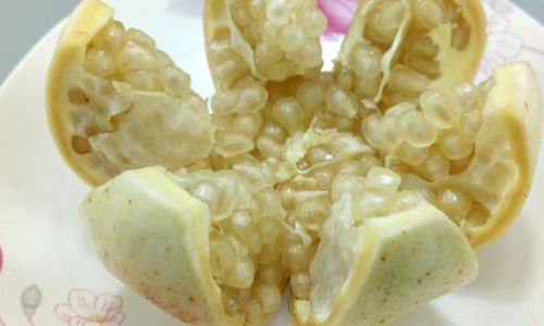 Exploring the Edibility of the White Flesh in Young Coconut Coconut Water)