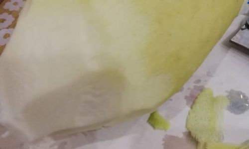 Exploring the Edibility of the White Flesh in Young Coconut Coconut Water)