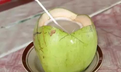 Exploring the Edibility of the White Flesh in Young Coconut Coconut Water)